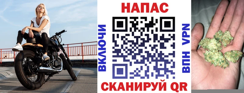 продажа наркотиков  Ярцево  Конопля ГИДРОПОН 